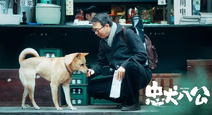 手机腾讯视频地域限制解决